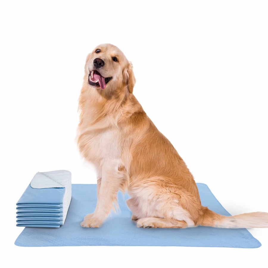 Confidence Waterproof Washable Underpads Incontinent Pad Bargoose Home Textiles, Inc.