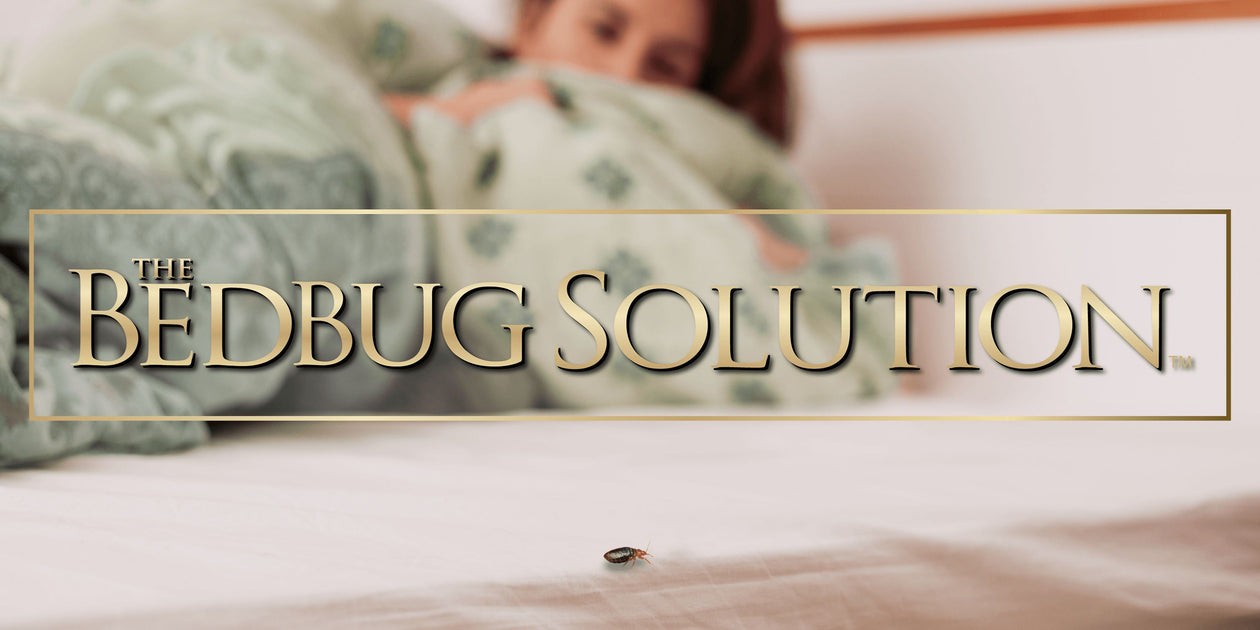 https://bargoosebedding.com/cdn/shop/collections/bedbug-solution-mattress-protectors-bargoose-289868_1260x630.jpg?v=1635786500