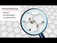 BedBug Solution Video