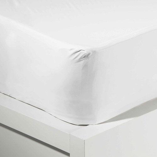 AllergyCare™ Fitted 100% Cotton Allergy Mattress Cover Fitted Mattress Protector Bargoose Home Textiles, Inc. Twin 39" x 75" 9" 