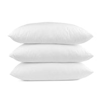 Pillow Encasing AllergyCare Standard 21 x 26 Clearance Bargoose Home Textiles, Inc. 